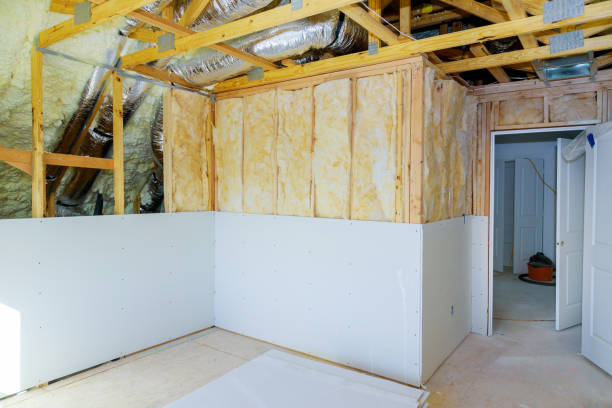 Best Eco-Friendly Insulation in Bristol, WI