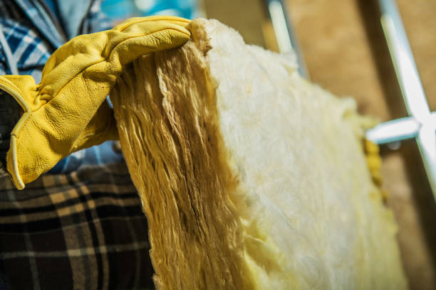 Best Specialized Insulation Services in Bristol, WI