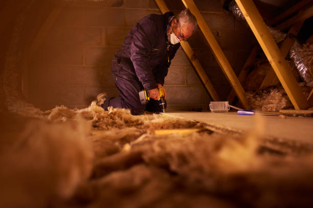 Best Energy Efficiency Insulation in Bristol, WI