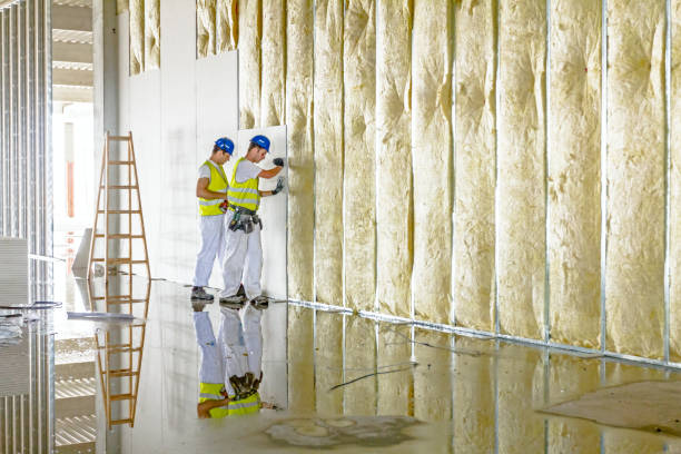 Best Commercial Insulation in Bristol, WI
